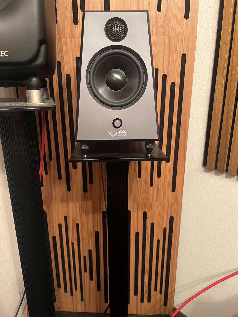 reProducer Audio Epic 5 モニタースピーカー | hyundaikudus.com