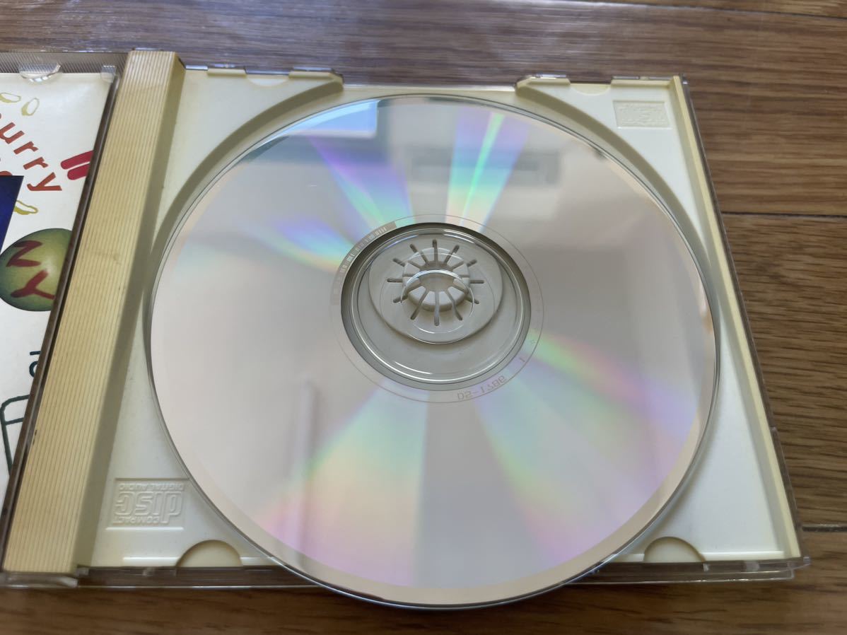 13 CD cd ユニコーン　unicorn ハヴァナイスデー_画像4
