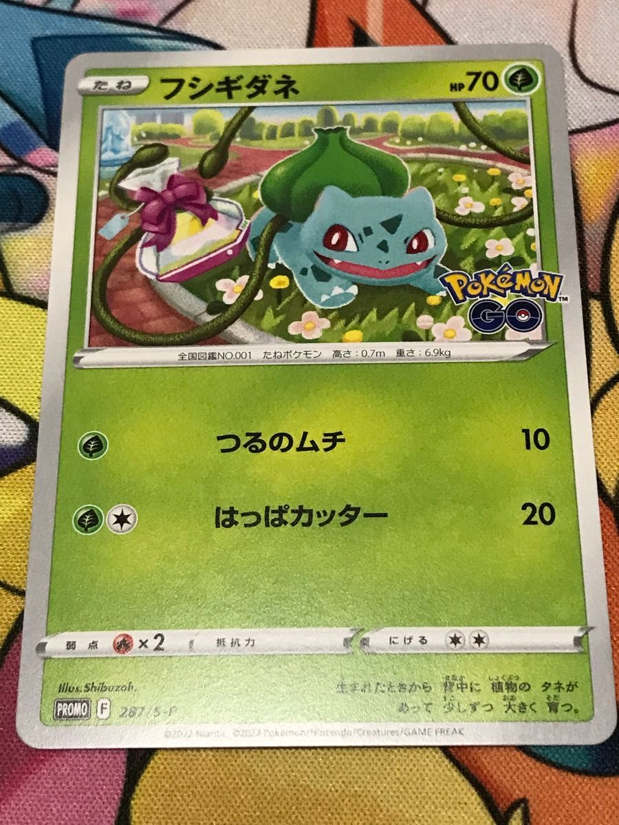 ポケモンカード ヒトカゲ ゼニガメ フシギダネ プロモ ポケモン ポケモンカード ヒトカゲ ゼニガメ フシギダネ プロモ ポケモン