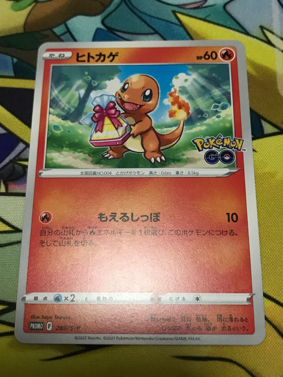 ポケモンカード ヒトカゲ ゼニガメ フシギダネ プロモ ポケモン ポケモンカード ヒトカゲ ゼニガメ フシギダネ プロモ ポケモン