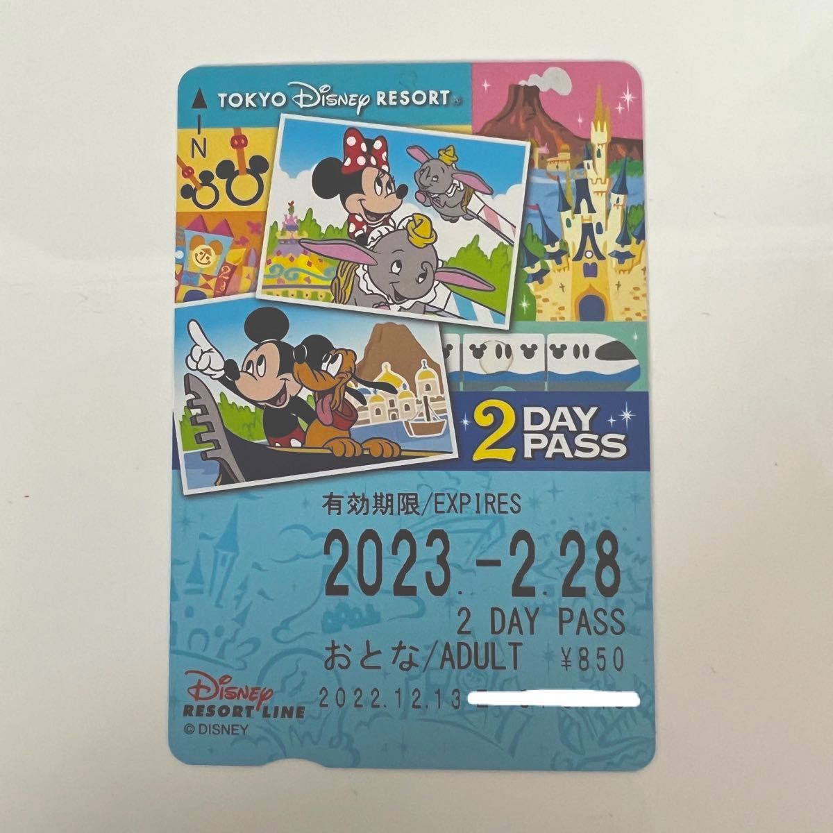 DISNEY RESORT LINE パスケース リゾラ ディズニー 非売品 【信頼