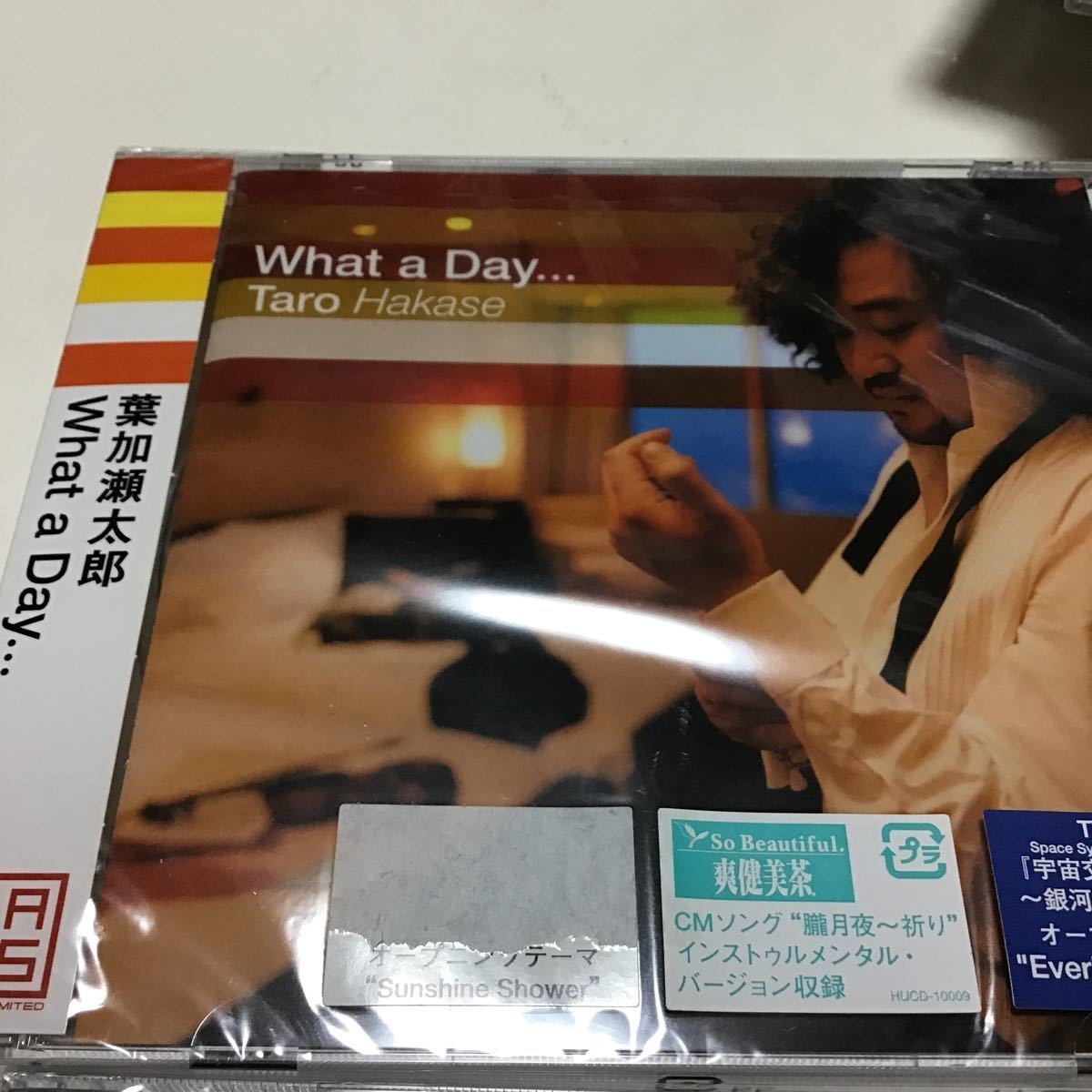 葉加瀬太郎／ＶＩＯＬＩＮＩＳＭ２　【国内盤CD】 葉加瀬太郎／What a Day..._画像2