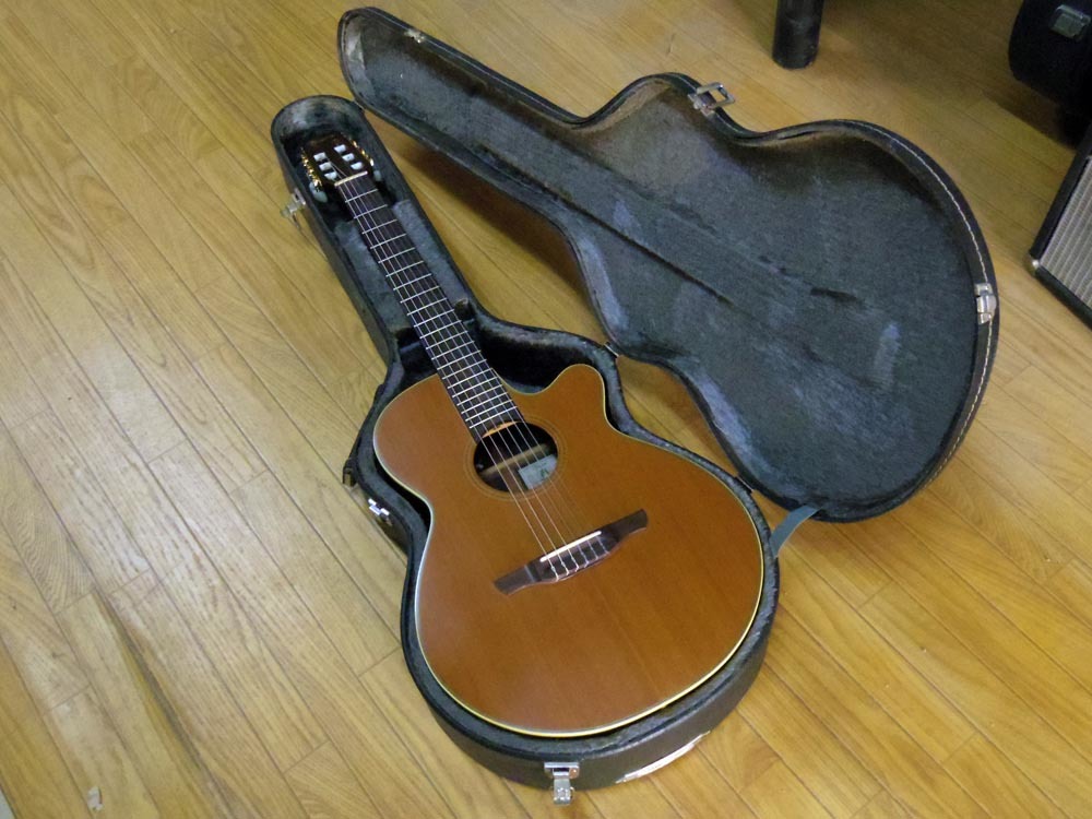 Takamine タカミネ エレガット NPT-110N 品 楽器、器材 | roma