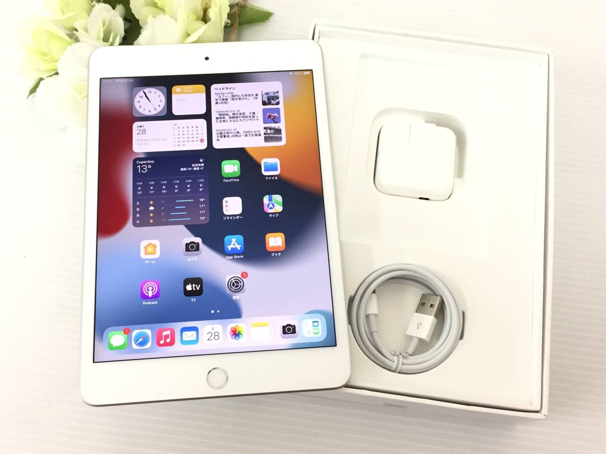 〇Softbank ソフトバンク Apple iPad mini 第5世代 Wi-Fi+Cellularモデル 64GB A2124(MUX62J/A) シルバー 〇判定 動作品の画像1