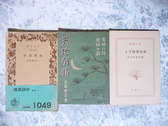 土井暁翠 文庫 ３冊 暁翠詩抄・天地有情・土井暁翠詩集 ※難あり_画像1