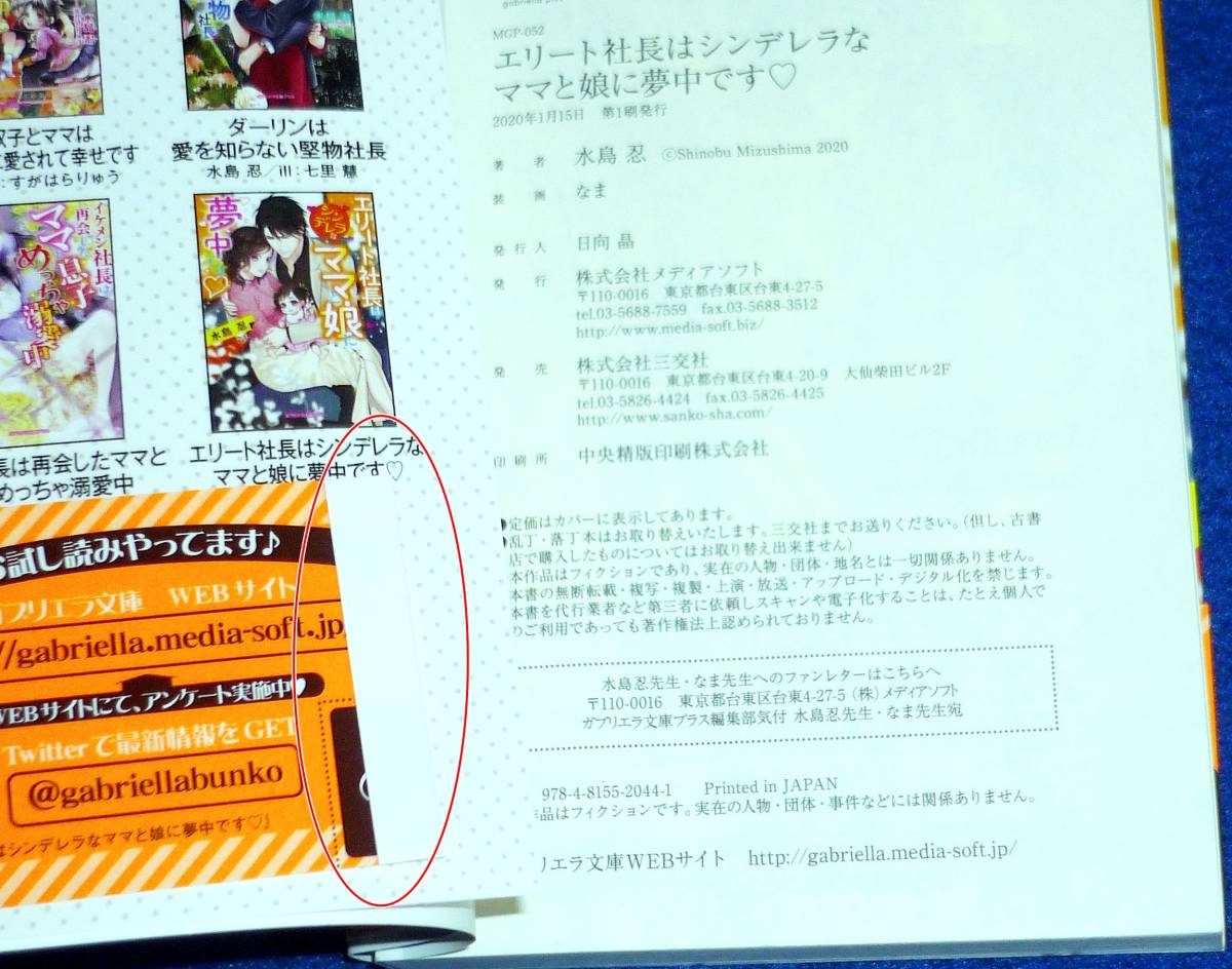 エリート社長はシンデレラなママと娘に夢中です ※SSペーパー付き　(ガブリエラ文庫プラス) 文庫 ★水島 忍 (著),【060】_画像4