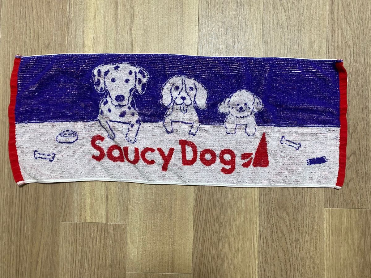 年中無休 Saucy Dog タオル sonrimexpolanco.com