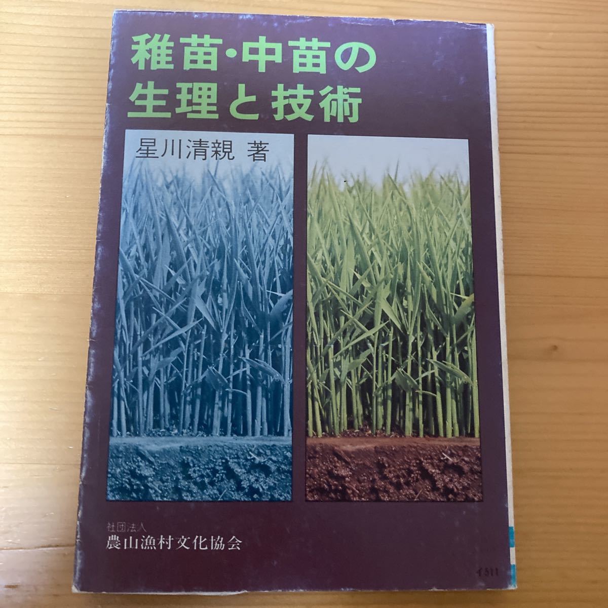 4年保証』 稚苗・中苗の生理と技術 星川清親 農文協 農業 稲作 農学