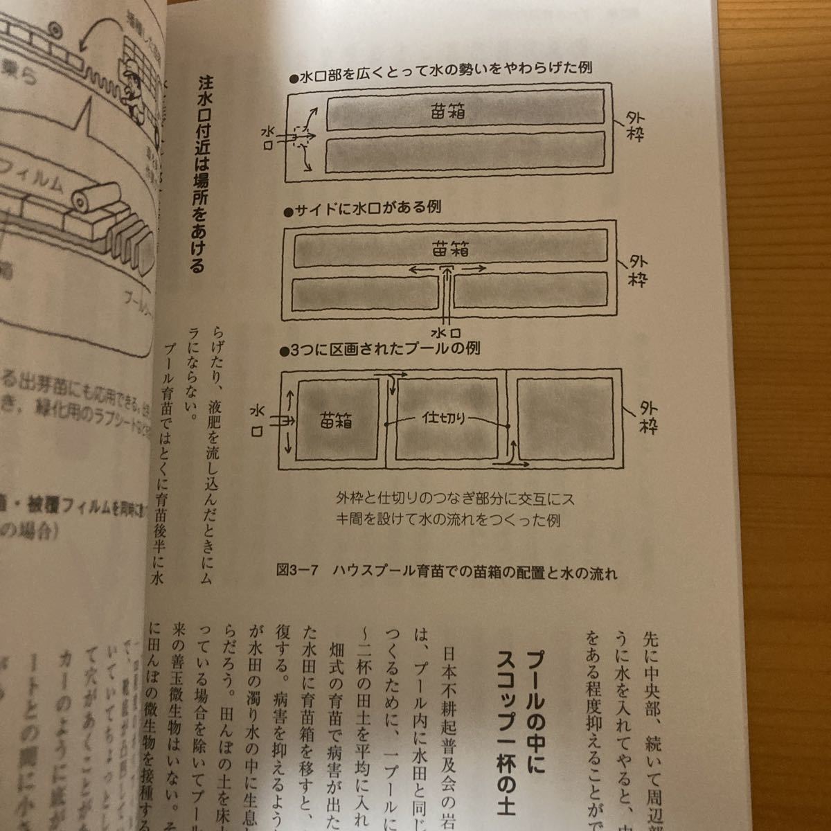 イネのプール育苗 ラクして健苗　農文協　　稲作　農業_画像4