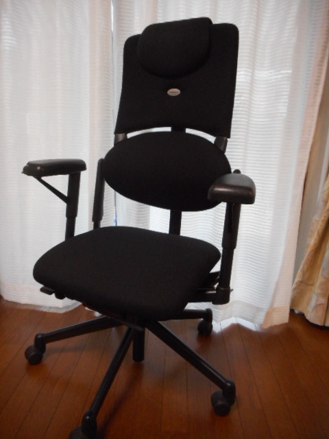 Steelcase Please Chair V1　スチールケース プリーズチェア　高機能ハイバック オフィスチェア