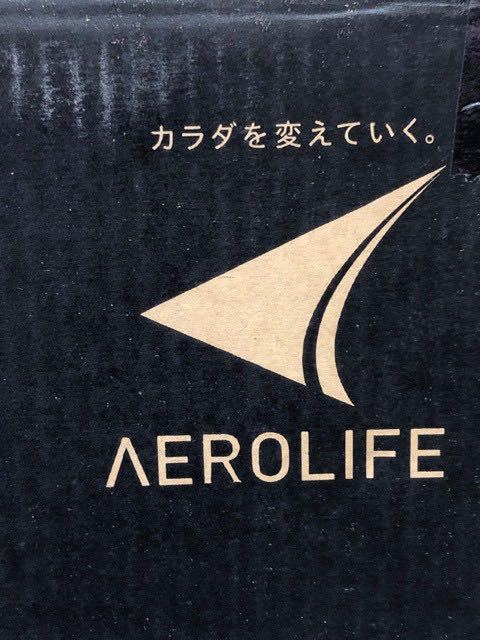 新品未開封 エアロライフ AEROLIFE コアビクサー DR-3880 昇降運動 ステッパーの画像5