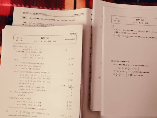 駿台　数学EXS（難問）2014年　前期後期　三森　駿台 河合塾 鉄緑会 代ゼミ Z会 ベネッセ SEG 共通テスト