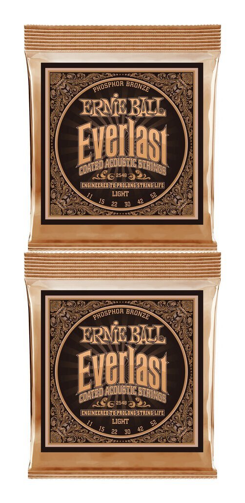 ERNIE BALL Everlast Coated ＃2558 Light (11-52 アコースティック