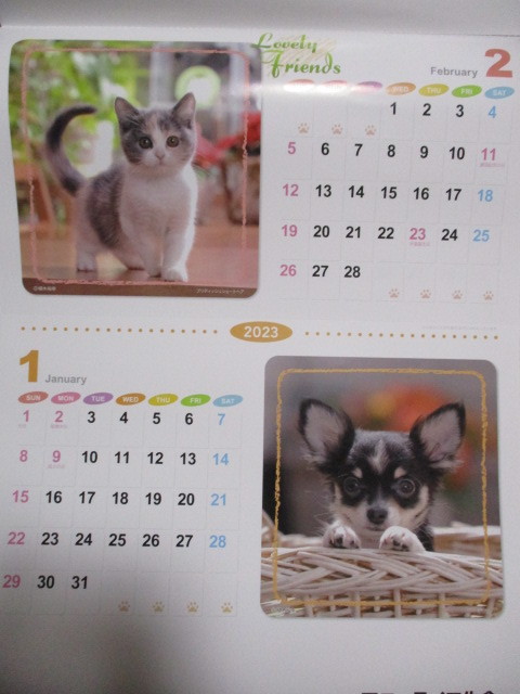 2023年 令和5年 壁掛け カレンダー Cats ＆ Dogs 企業名入り 猫と犬　ねこ　いぬ