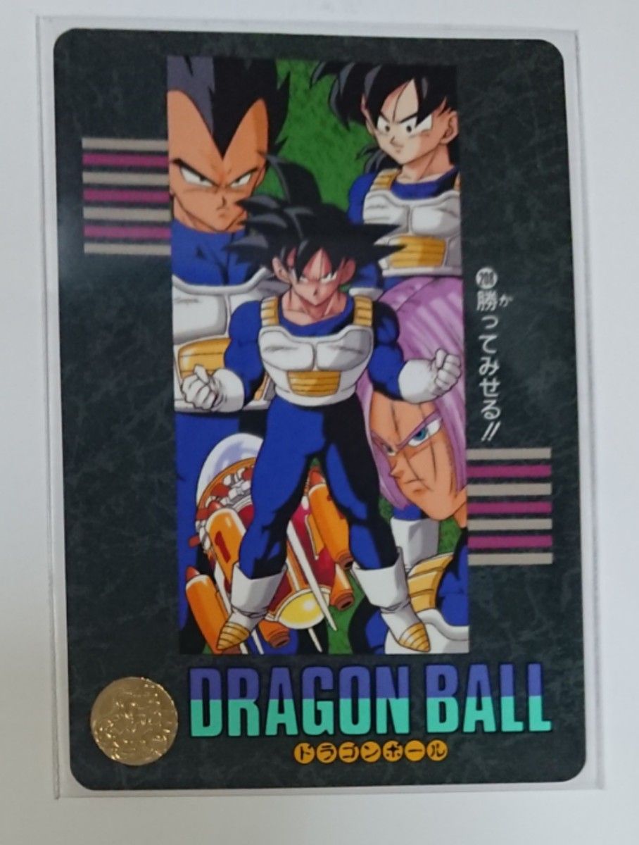 DRAGONBALL ドラゴンボール カード ビジュアルアドベンチャー 勝ってみせる!!悟空&悟飯、ベジータ&トランクス 美品