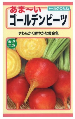 ビーツ ゴールデンビーツ 種子 野菜のたね 家庭菜園_画像1