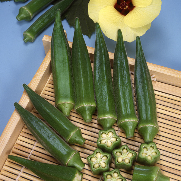 オクラ 五角オクラ 種子 野菜のたね 家庭園芸_画像3