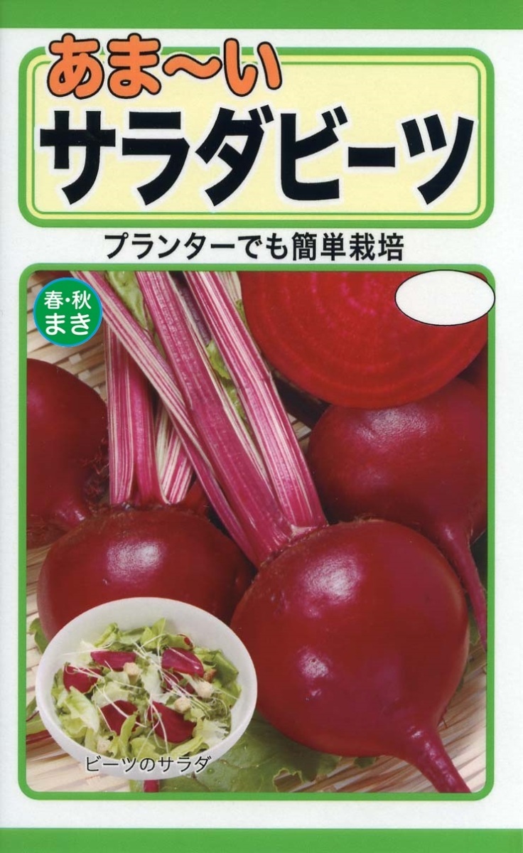 サラダビーツ 種子 野菜のたね 家庭菜園_画像3