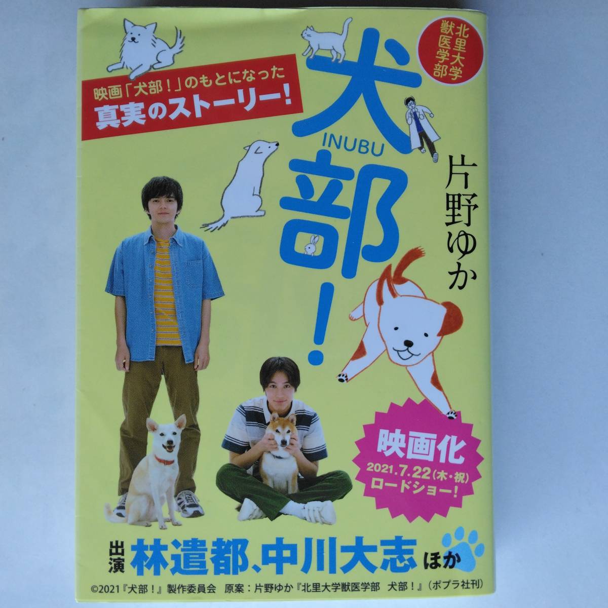 犬部！　北里大学獣医学部　片野ゆか　ポプラ文庫　9784591129166　_画像1