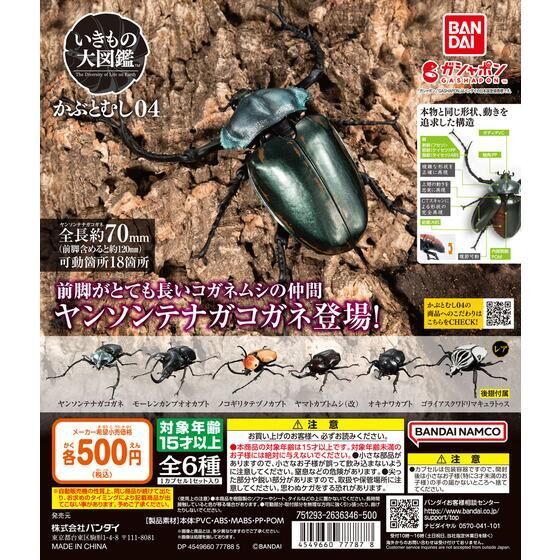 ☆彡 ノコギリタテヅノカブト単品 いきもの大図鑑 かぶとむし04 の画像2