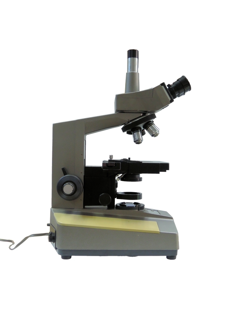 * operation verification settled * OLYMPUS BHC living thing microscope PM-6 camera specification :WF10× FK5× HI100 10 40 4/ Olympus / receipt possible 