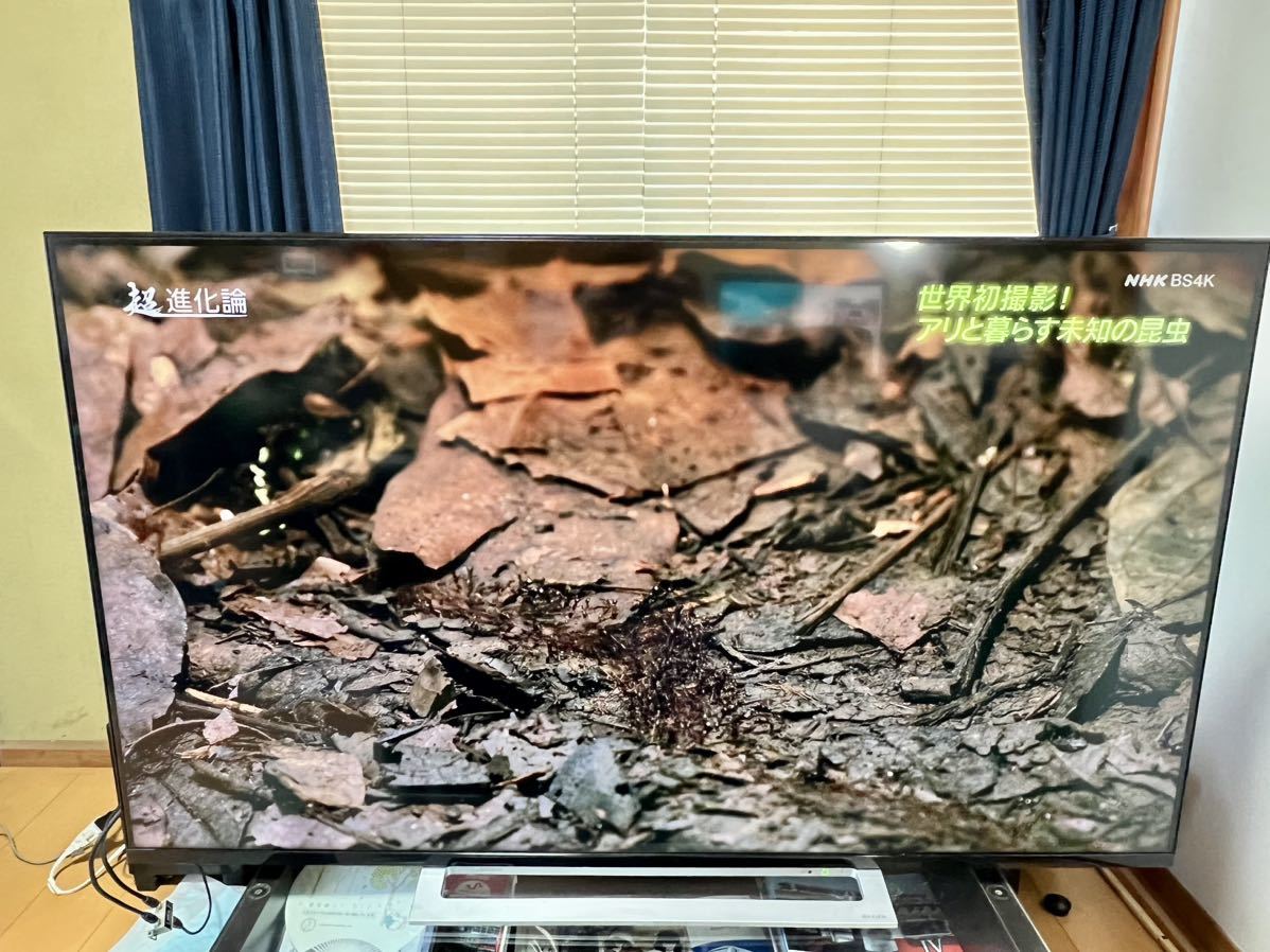 東芝 REGZA レグザ 4K対応液晶テレビ 55M520X 訳あり品 www.dinh.dk