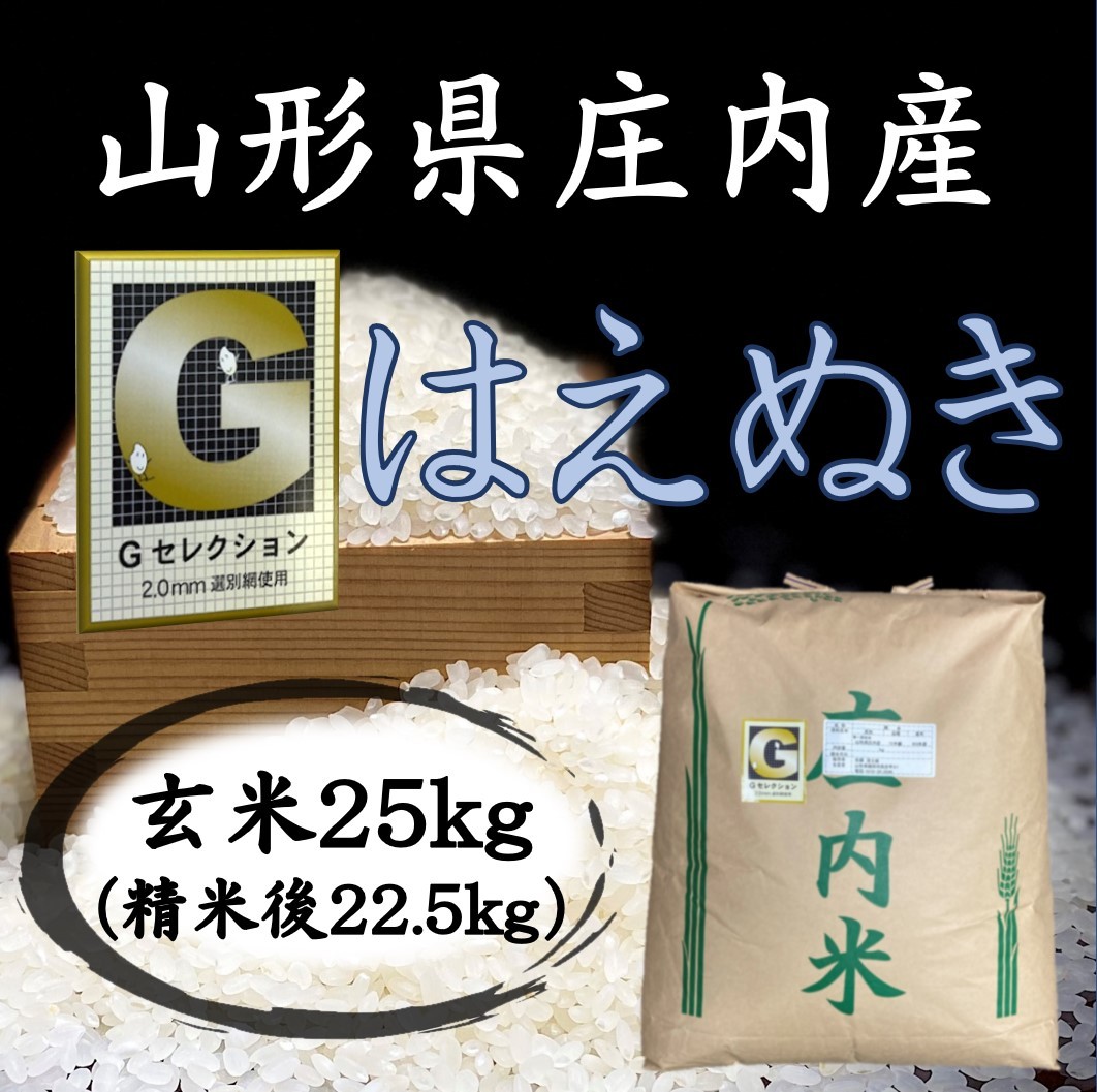 新米 山形県庄内産 はえぬき 玄米20kg Gセレクション-