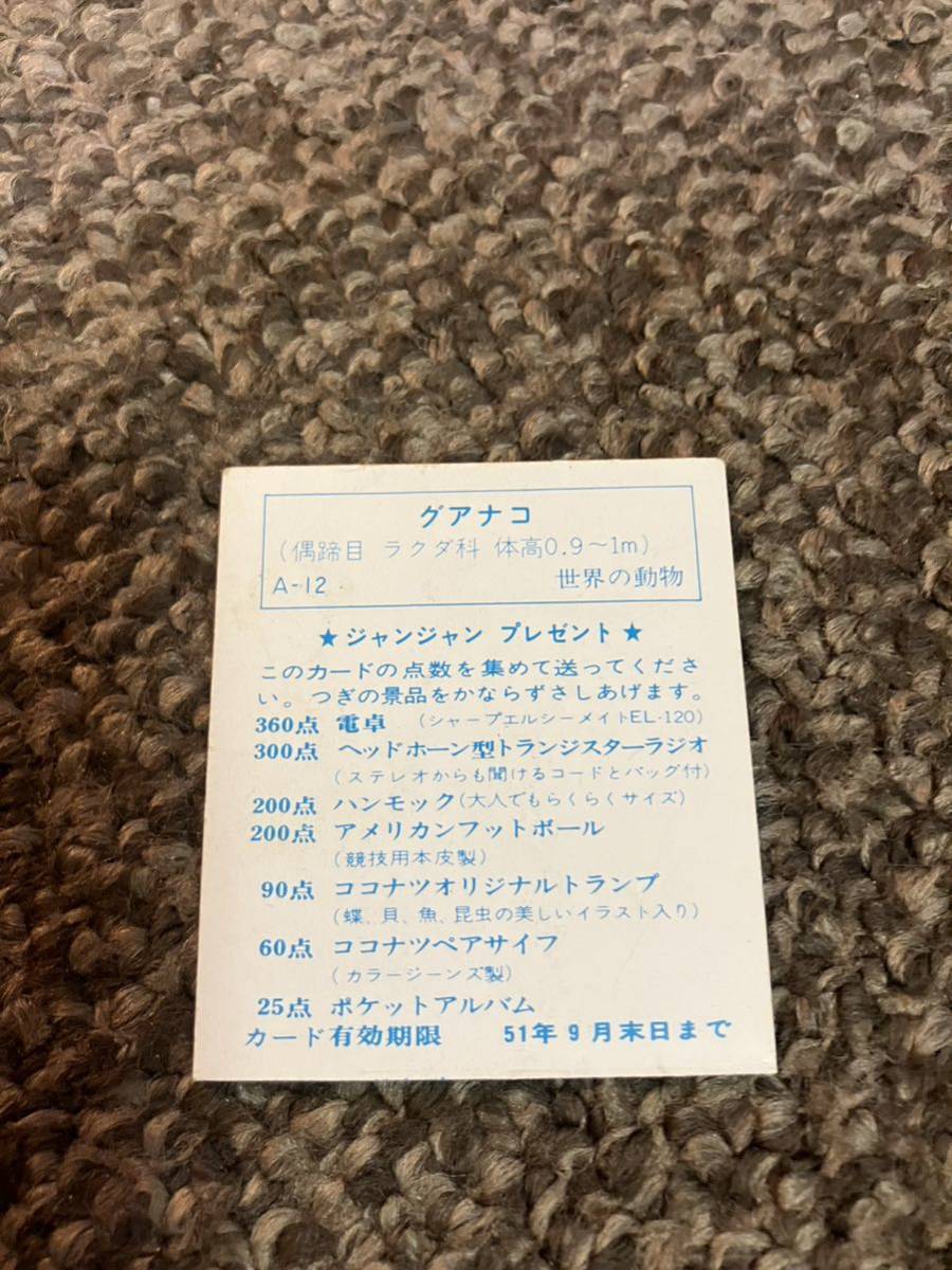 カバヤ ジャンジャン プレゼント 世界の動物 シリーズ グアナコ A-12 カード有効期限 昭和51年9月末日 1976年 点数切取済