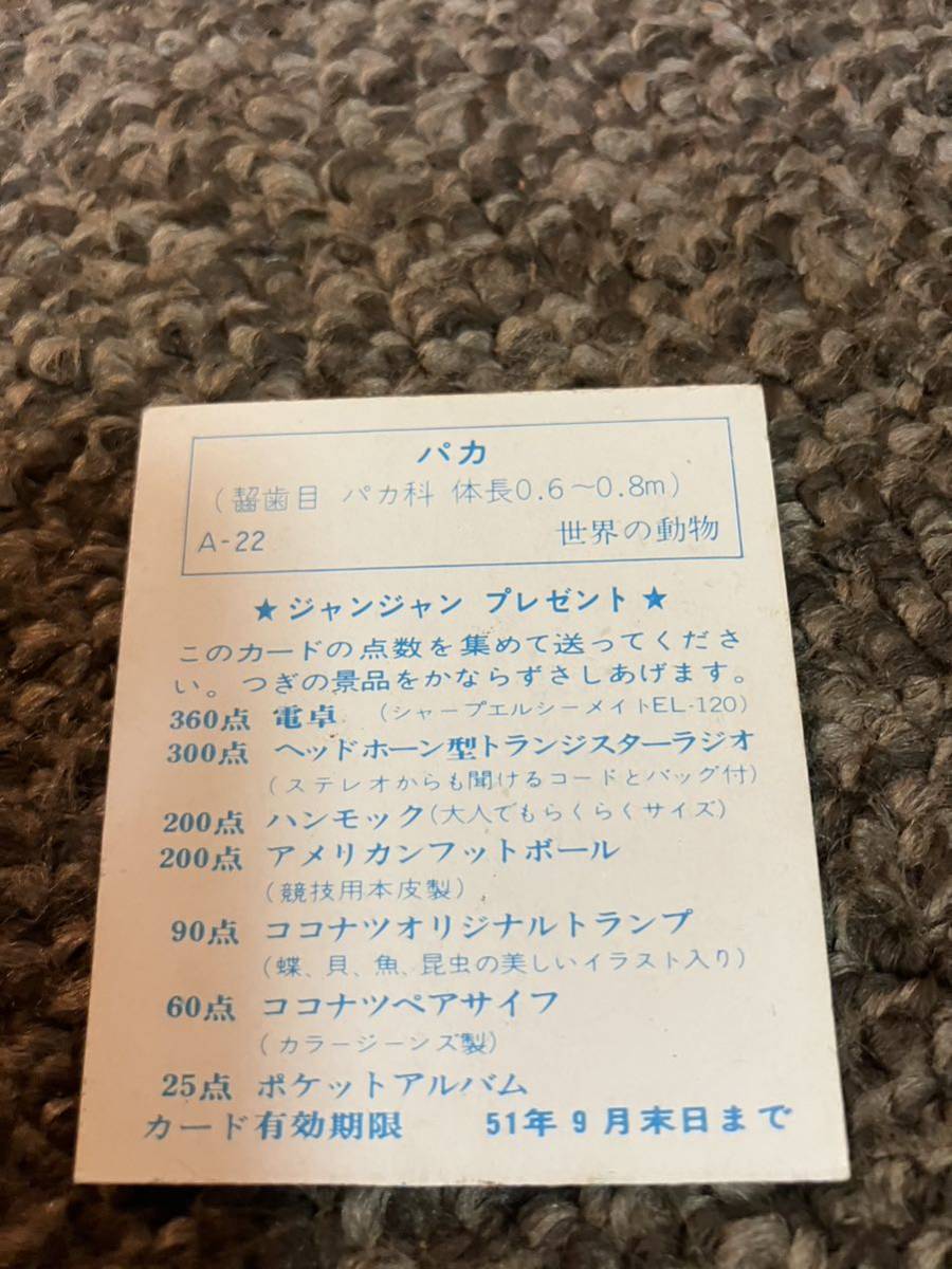 カバヤ ジャンジャン プレゼント 世界の動物 シリーズ パカ A-22 カード有効期限 昭和51年9月末日 1976年 点数切取済_画像2