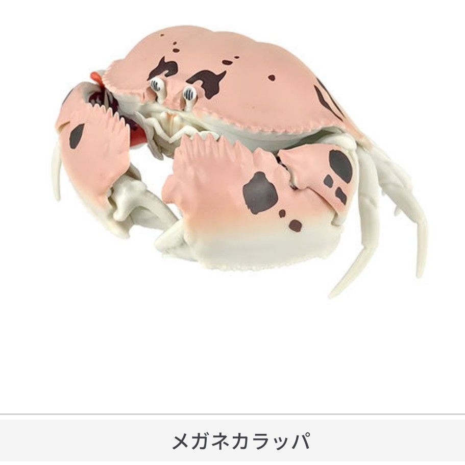 バンダイ いきもの大図鑑 かに01 メガネカラッパ単品です リアルフィギュア カプセルトイ カプセルレス 甲殻類|PayPayフリマ いもむし&カニ フィギュア