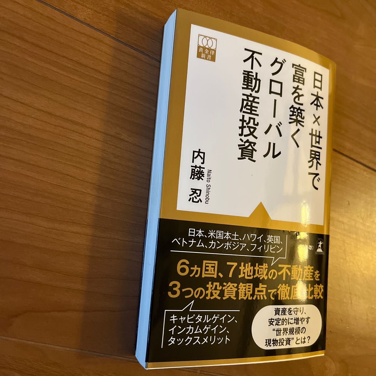 日本×世界で富を築くグローバル不動産投資 （黄金律新書　０１２） 内藤忍／著