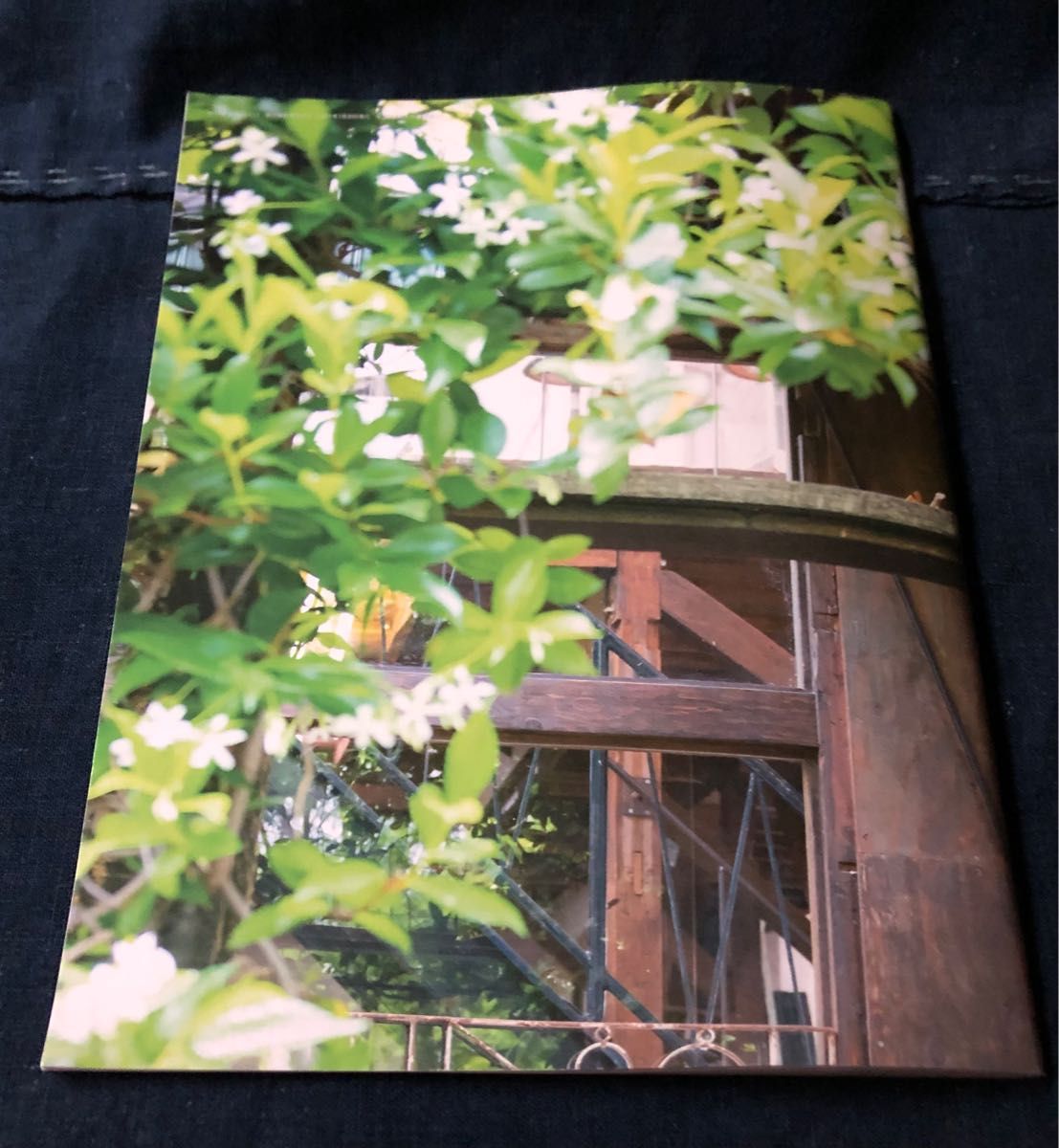 Spitz スピッツ ファンクラブ会報誌『Spitz Bergen(スピッツ Spitz スピッツ ファンクラブ会報誌『Spitz Bergen(スピッツ