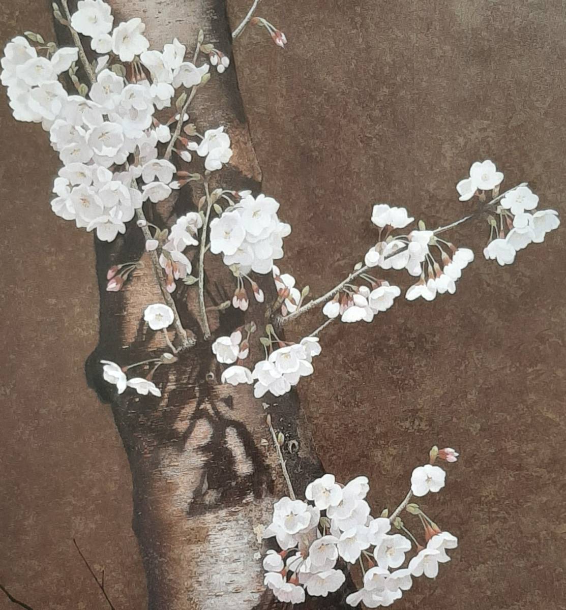  river . beautiful .,[ Sakura flower ], rare book of paintings in print. frame ., four season, scenery, popular work, order mat attaching * made in Japan new goods amount entering, free shipping 