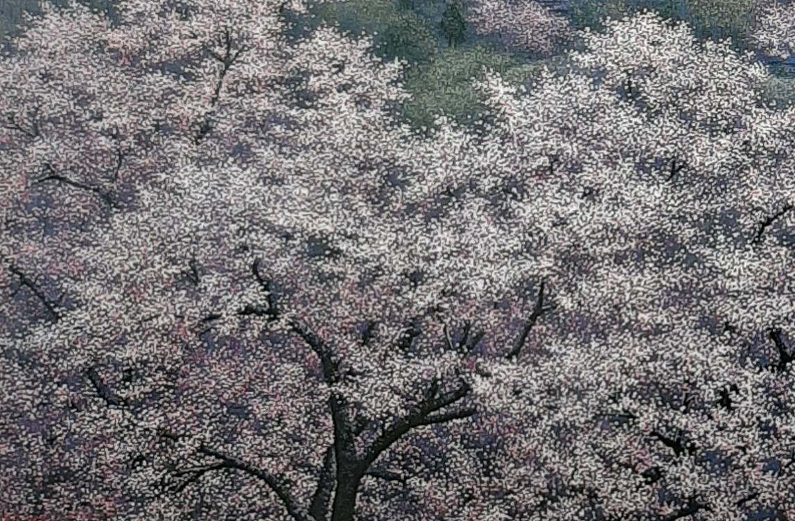 酒井英利、「高遠の桜」、希少画集の額装画、四季、風景、人気作品、オーダーマット付・日本製新品額入り、送料無料_画像3