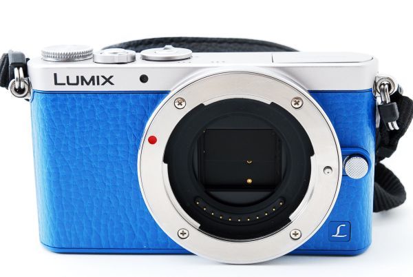 極美品◇Panasonic パナソニック LUMIX DMC-GM1 ボディ◇-04