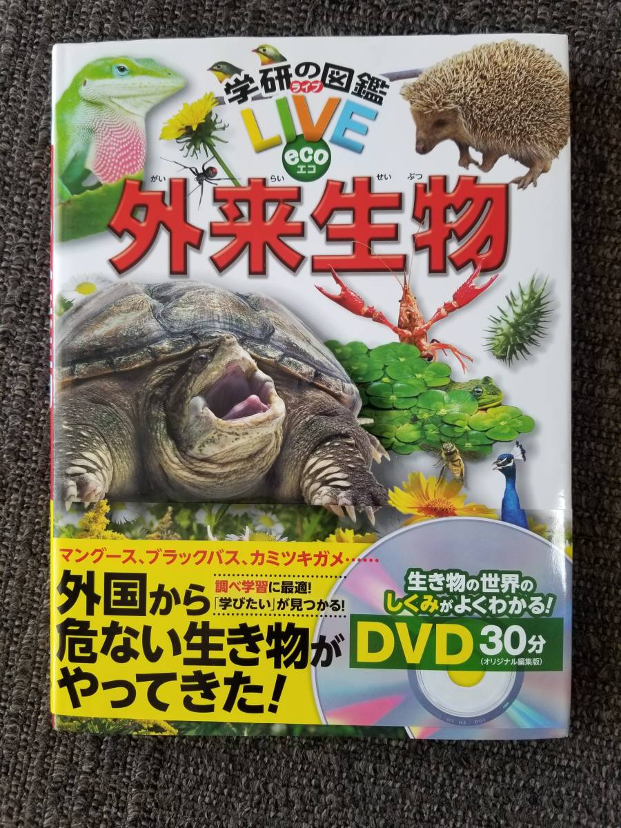 【売り切り御免!】 新しいスタイル 【送料無料】図鑑6冊 NEO 学研 小学館 クイズ 図鑑