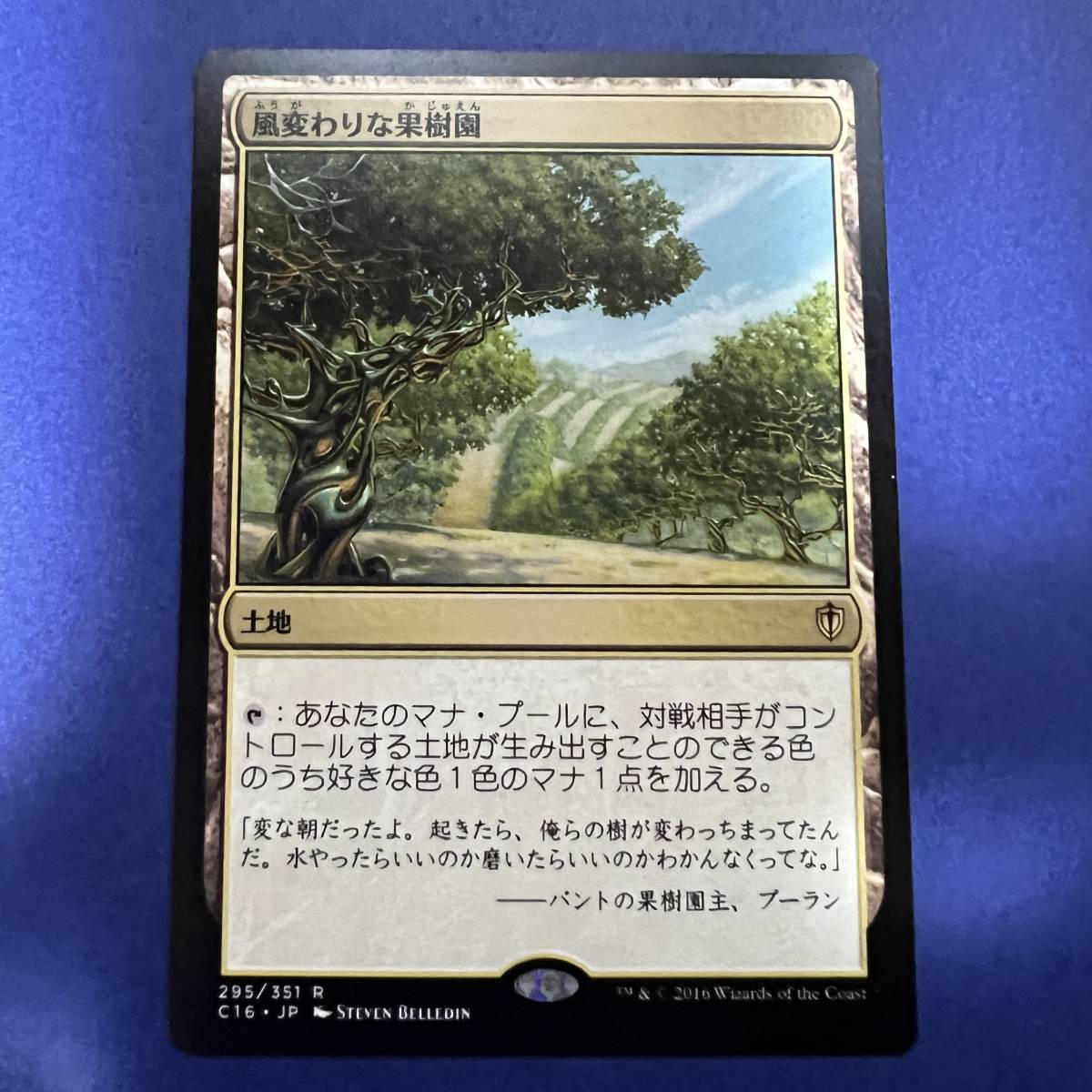 MTG/風変わりな果樹園/Exotic Orchard/日本語/1枚_画像1