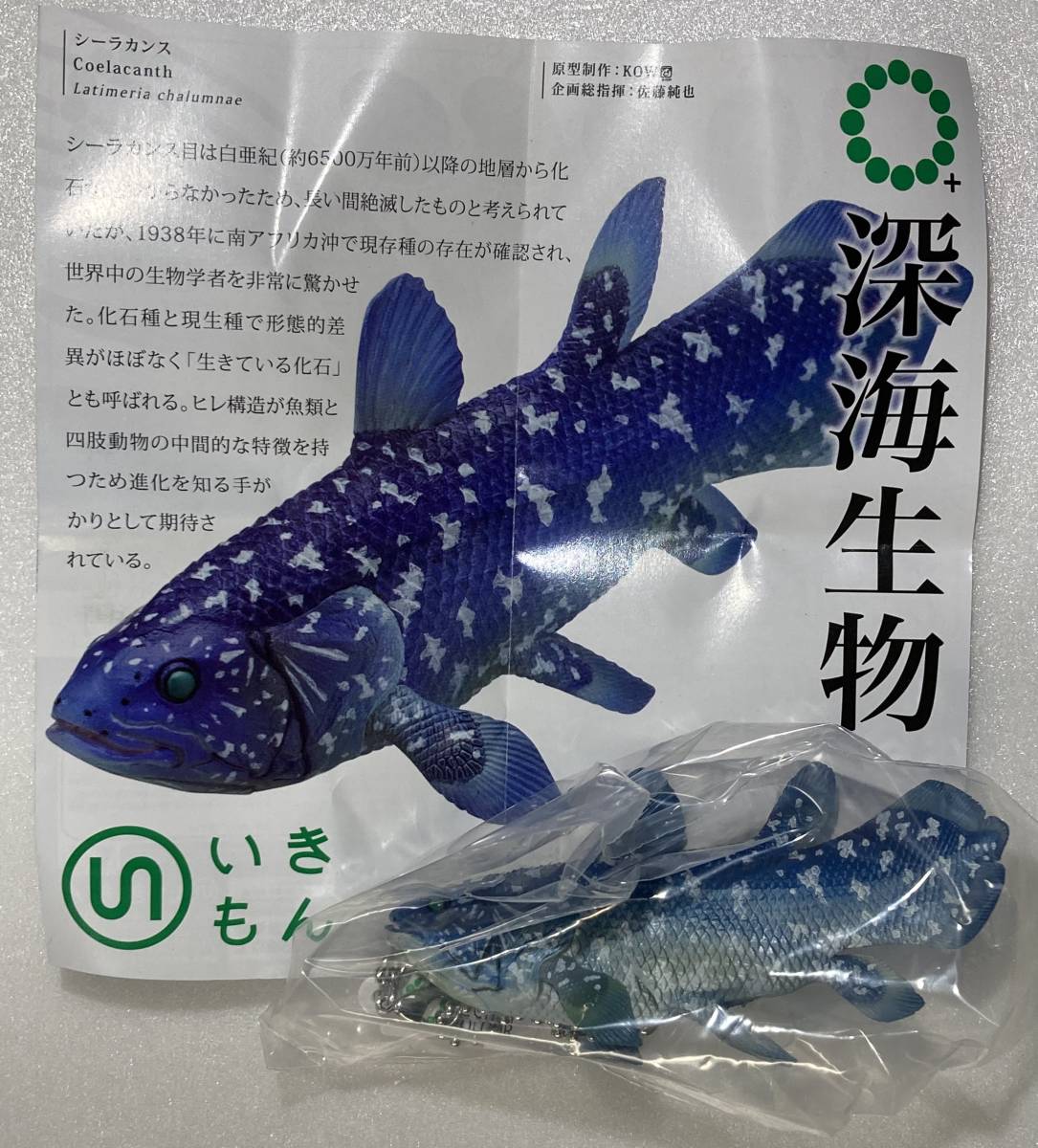 Yahoo!オークション - ネイチャーテクニカラー 深海生物 Yahoo!オークション - ネイチャーテクニカラー 深海生物