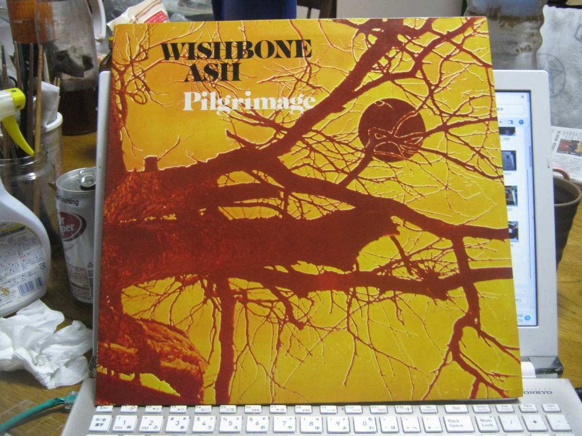 WISHBONE ASH ウィッシュボーン・アッシュ / Pilgrimage U.K.LP _画像1