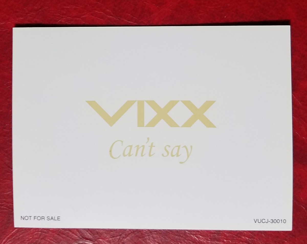 VIXX ホンビン ヒョギ Can't Say トレカ 通常盤柄 Hongbin Hyuk トレーディングカード 日本盤 即決_画像2