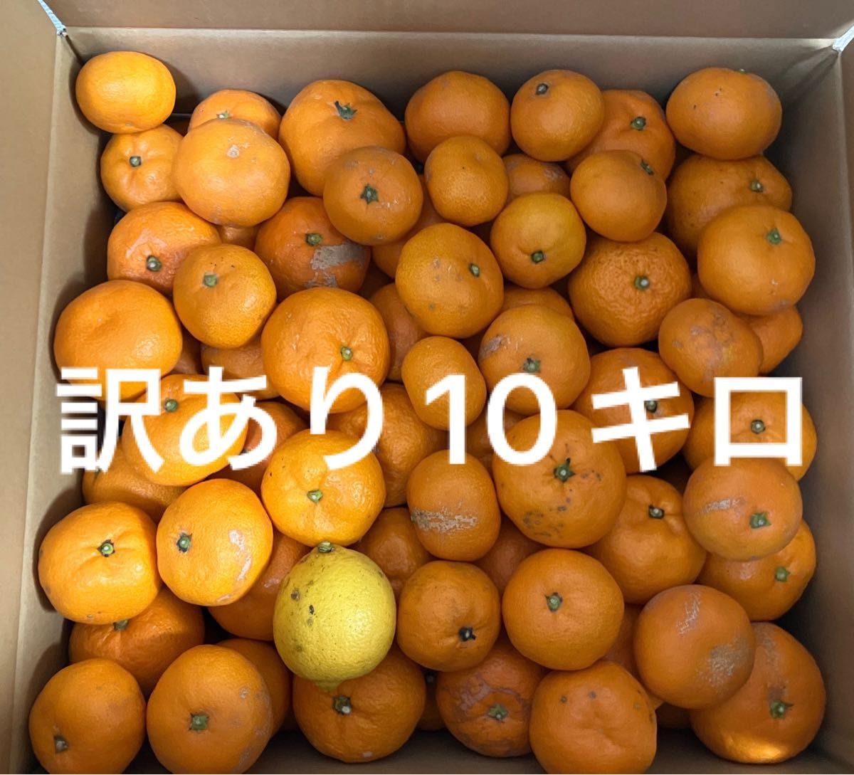 長崎産 伊木力佐瀬みかん 訳あり10キロ|Yahoo!フリマ(旧PayPay 長崎産 伊木力佐瀬みかん 訳あり10キロ|Yahoo!フリマ(旧PayPay