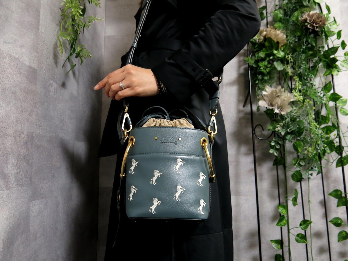 人気新品 Chloe クロエ 未使用 ROY ロイ ミニバケットバッグ cerkafor.com