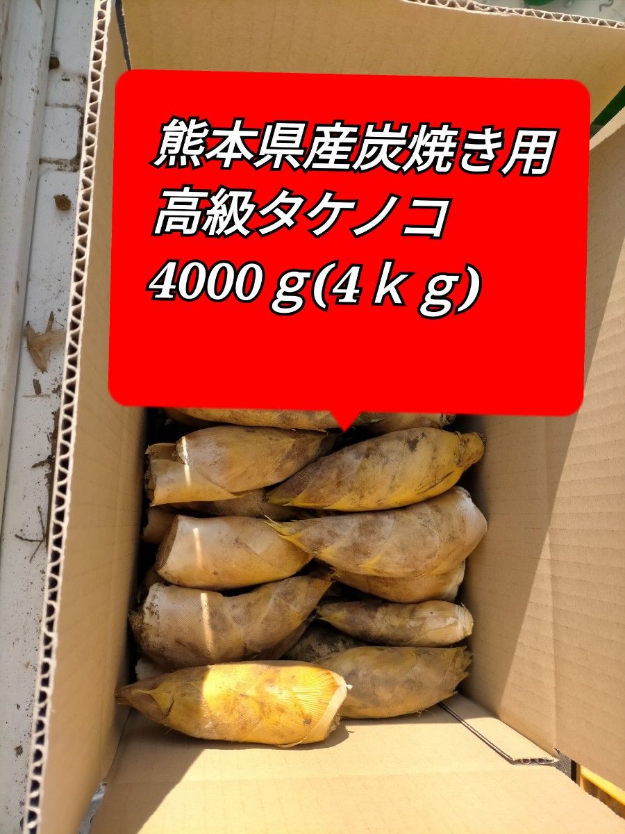 熊本県産 最高級 料亭用 タケノコ 3000ｇ たけのこ 筍 グルメ 野菜