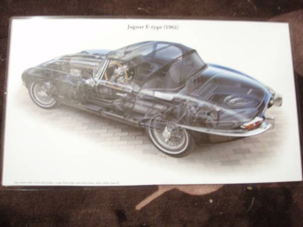  точный .. иллюстрации Jaguar E модель (1961)