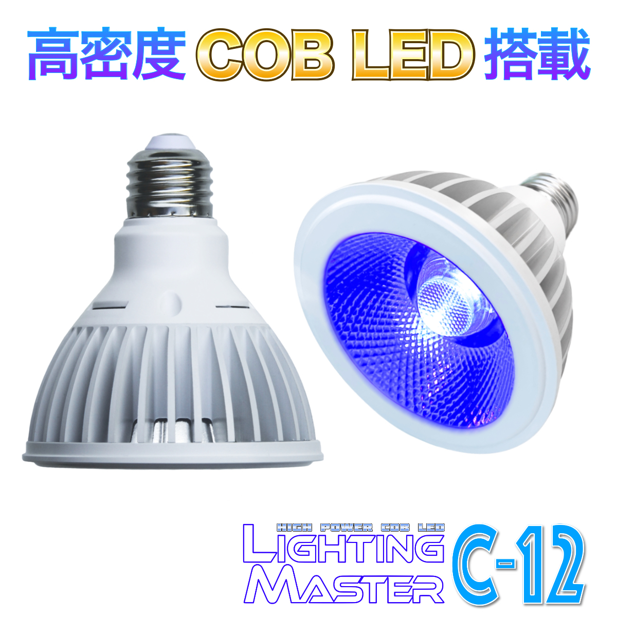 高密度COB LED搭載 50 000K Lighting Master C-12 ロイヤルブルー