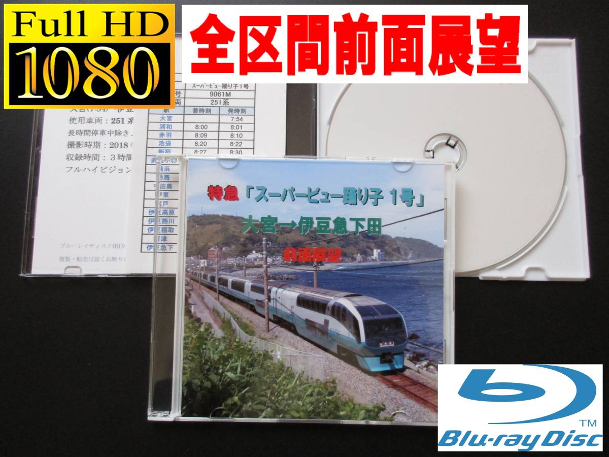 特急「スーパービュー踊り子 1号」 大宮→伊豆急下田 前面展望 251系の画像1