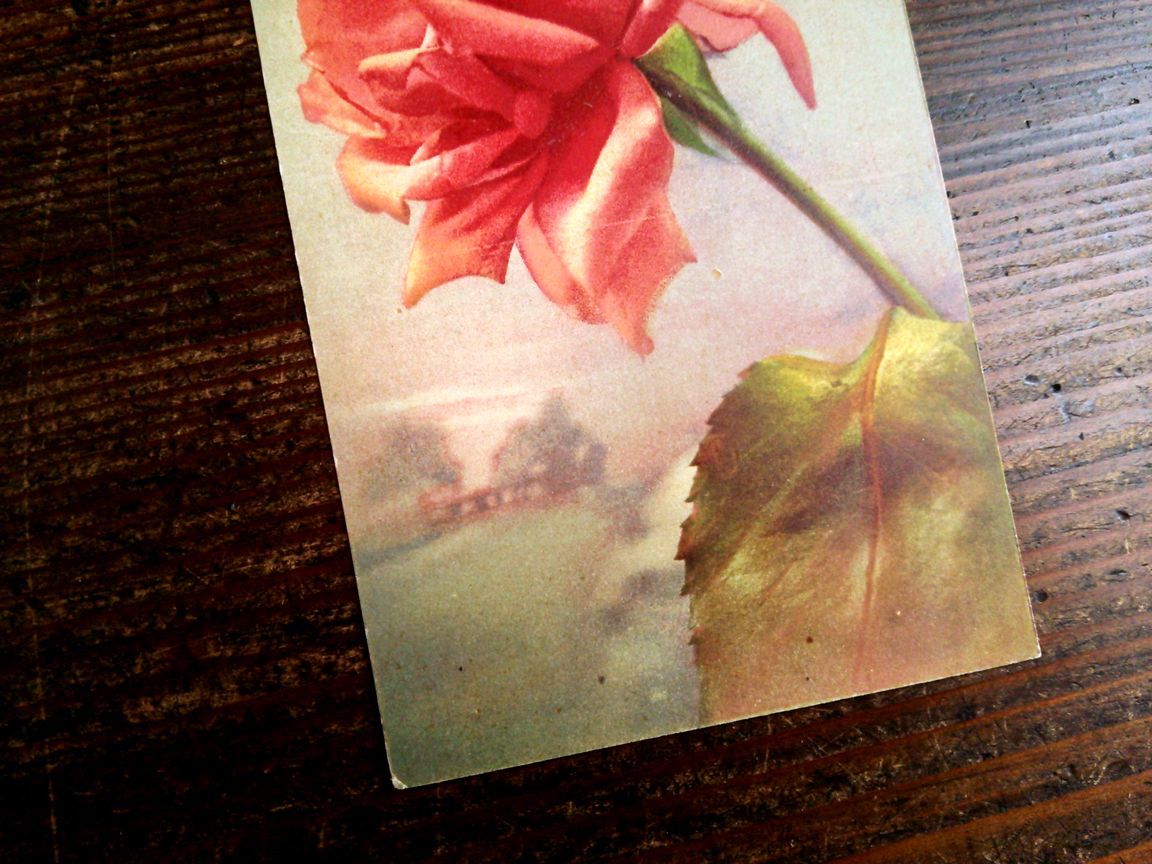 花(9)E24◆薔薇 バラ ばら アンティークポストカード フランス ドイツ ベルギー イタリア イギリス ビンテージ 外国絵葉書_画像6