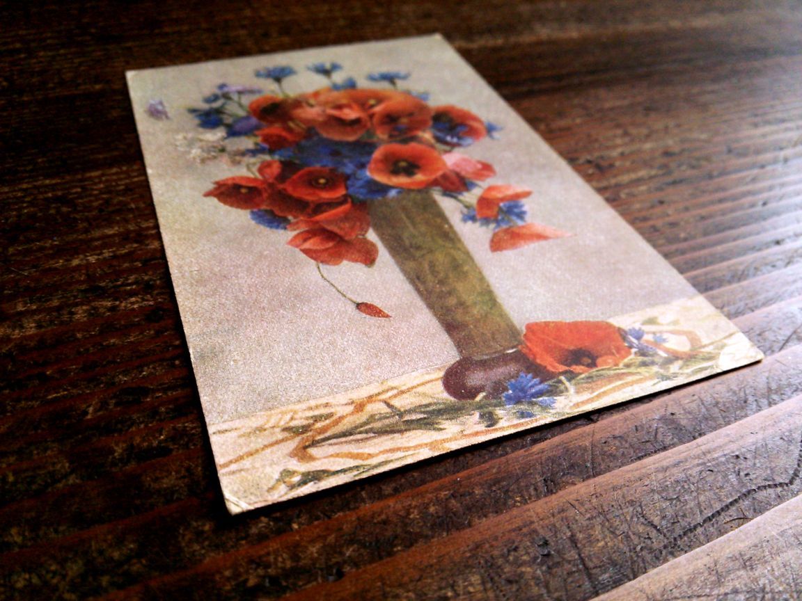 花(12)S38◆アンティークポストカード フランス ドイツ ベルギー イタリア イギリス ビンテージ 外国絵葉書_画像8