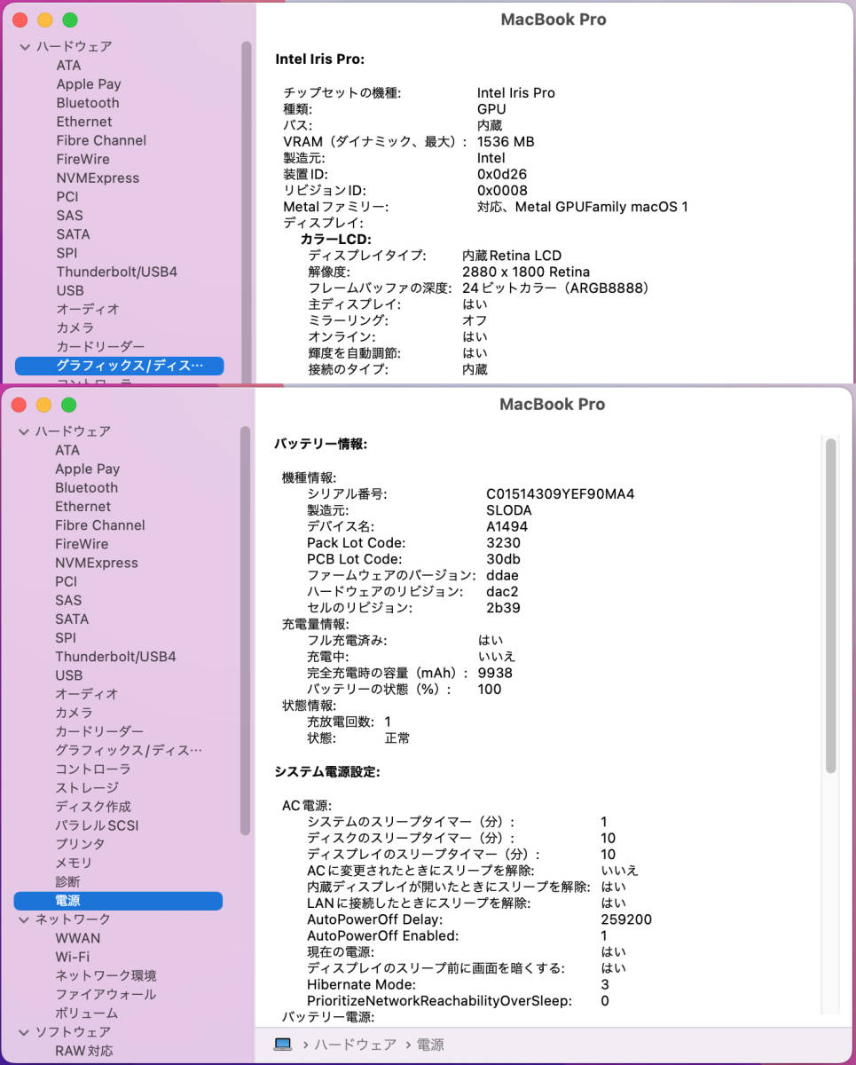 超高速1TB-SSDに換装！ MacBook Pro mid 2015, 15.4 inch Retinaディスプレイ, Core i7 2.2 GHz, 16GB RAM, A1398 (MJLQ2J/A)_システムプロフィール-2