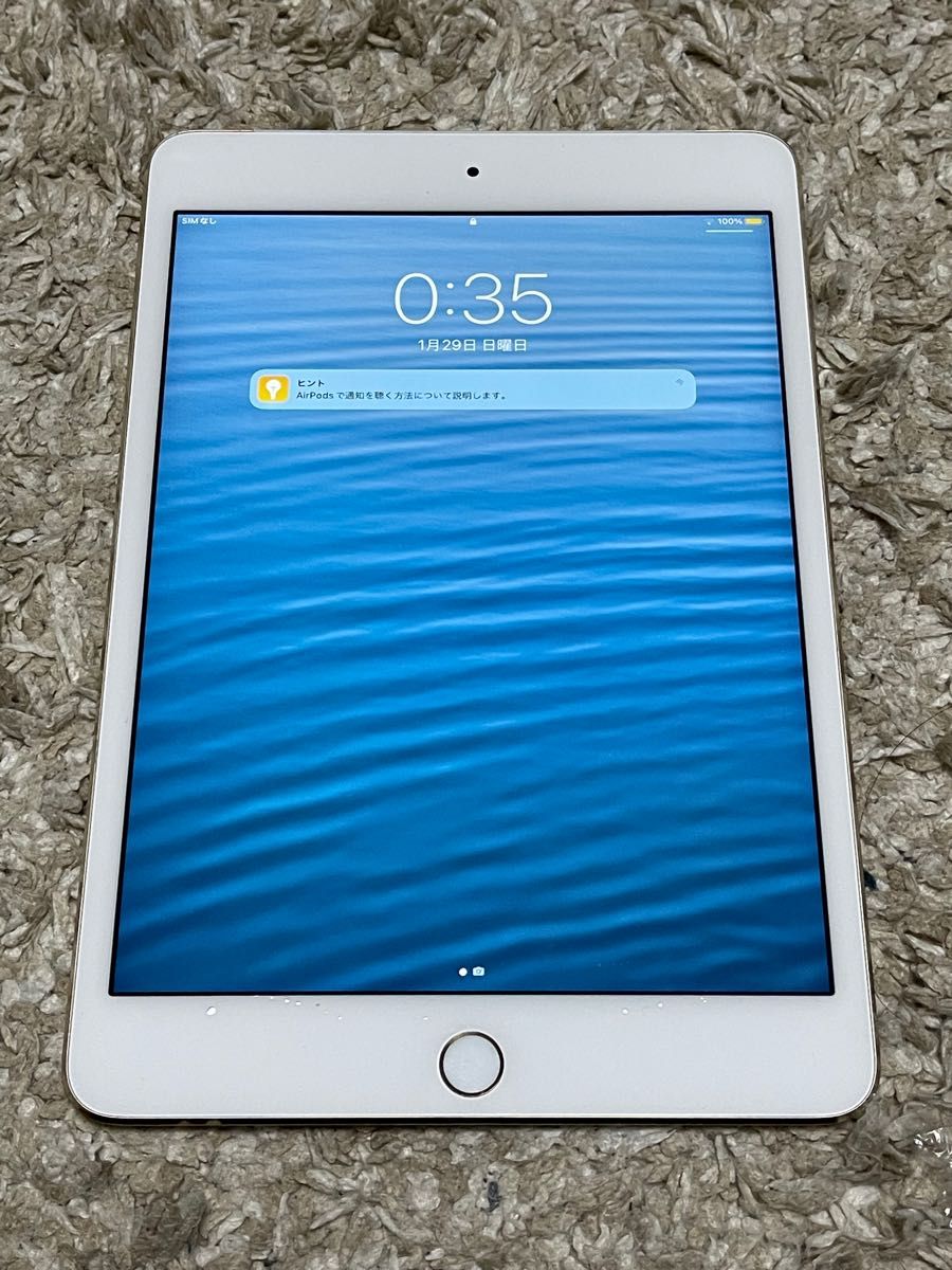 Apple iPad mini 第4世代 SIMフリー Wi-Fi Cellular MK752J/A 64GB